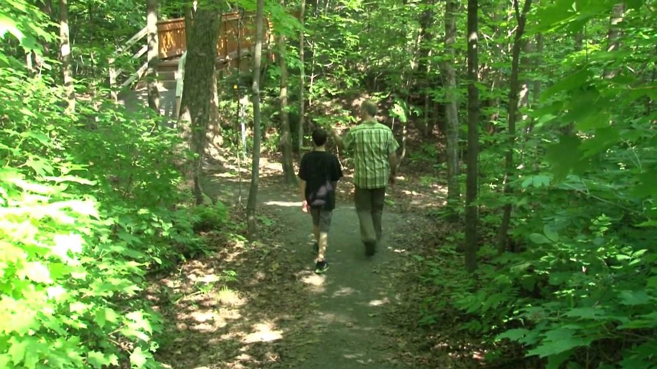 Le Boisé héritage faune YouTube