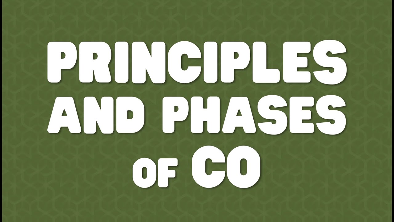 03 Principles and Phases of Community Organizing