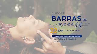 Curso De Barras De Access