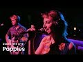 Poppies on Audiotree Live (Full Session)