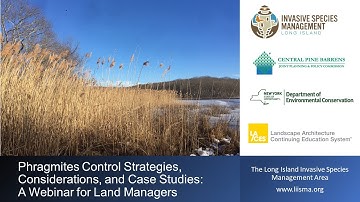 Phragmites Control Strategies, Considerations, and Case Studies: A Webinar for Land Managers﻿ Part 2