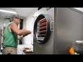 Processing Onions to Last Years on the Farm Dried