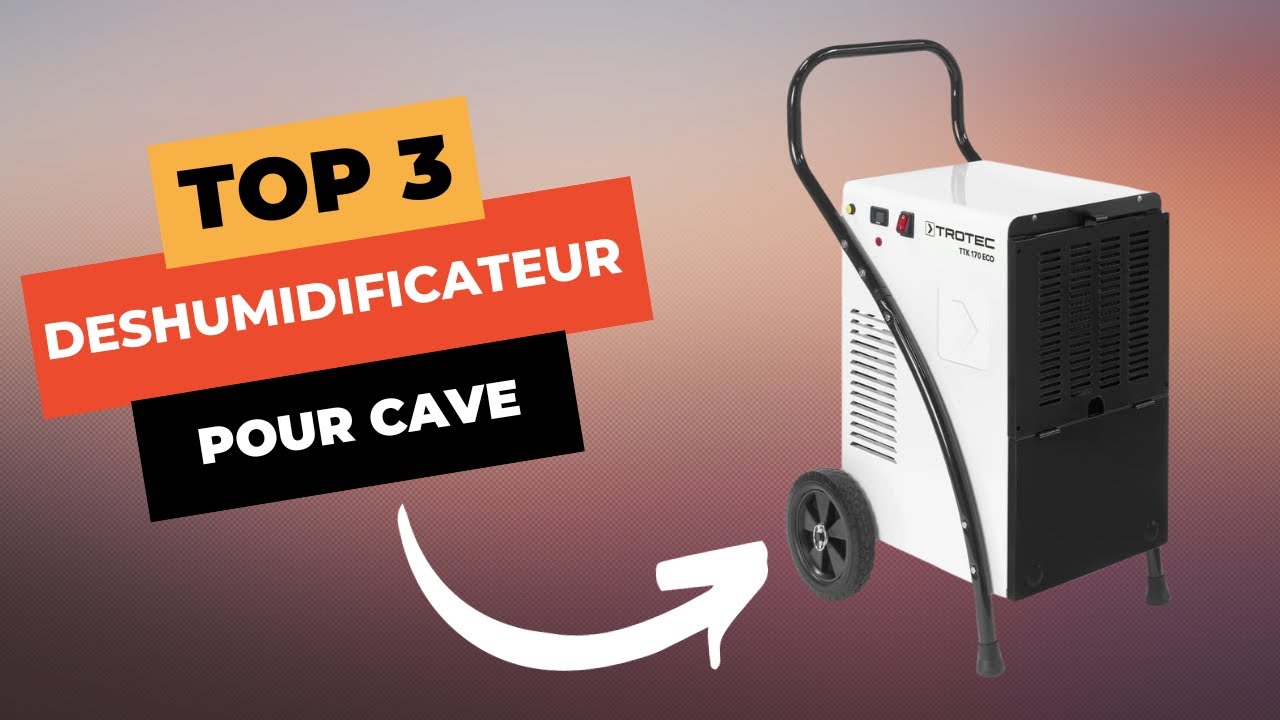 TOP 3 : Meilleur Déshumidificateur pour Cave 2024 🔥 