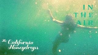 The California Honeydrops - In The Air (Official Lyric Video)