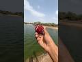 Cricket Ball 🥎 part 2