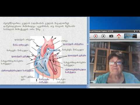 ფუნქციურ სისტემათა ფიზიოლოგია, 4(2)