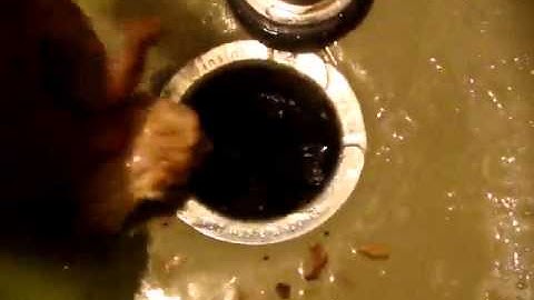 InSinkErator Evolution Excel 1.0 HP Household Garbage Disposer