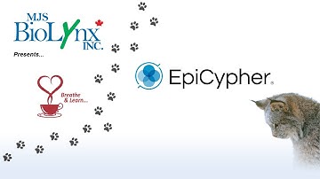 EpiCypher Breathe and Learn: Moving beyond ChIP seq to CUT&RUN and CUT&Tag