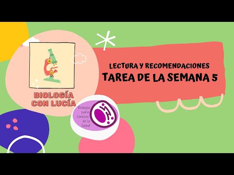 Vídeo: Sugerencia Súper Simple Para Obtener Tareas De Escritura Independientes - Matador Network