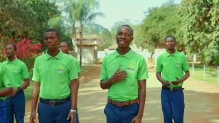 Ngomani young amo- malilime
