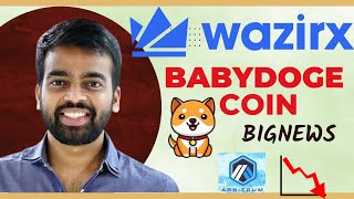 Wazirx Good News   I BabyDoge Coin Burn I Arb Coin Again Crash