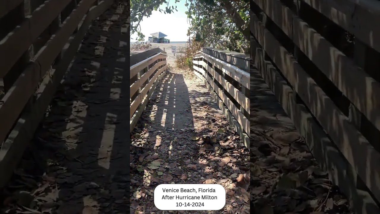 Venice Beach, Florida After Hurricane Milton 10-14-2024 