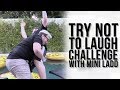 Dirty Dad Jokes + Mini Is A SPITTER! - TRY NOT TO LAUGH CHALLENGE