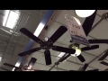 Tour of the ceiling fans in lowes