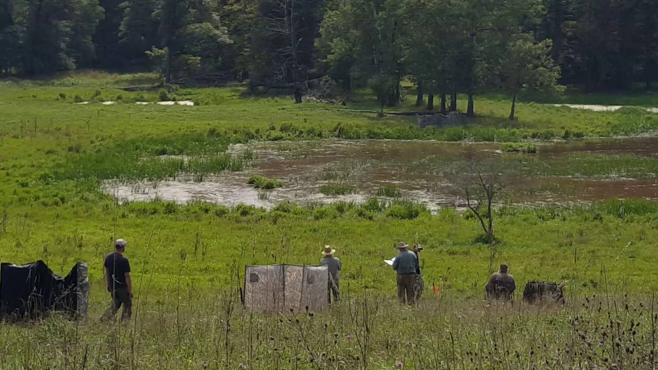 AKC Senior Hunt Test Yee Razor YouTube akc-senior-hunt-test-yee-razor-youtube