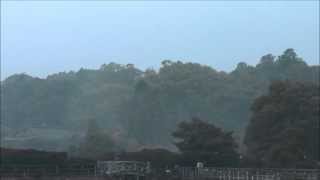 長岡天満宮の八条ヶ池には水上橋がかかっていて 錦鯉やカキツバタ、蓮などを観察しながら散策できます。 Water bridge in Hachijo-ga-ike pond Nagaoka-Tenman-gu.