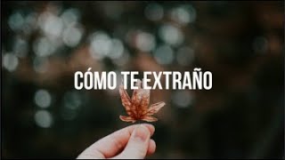 No Es Cierto - Danna Paola ft  Noel Schajris || Letra