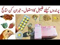 Metronidazole for chickens and other poultry birds  flagyl for chickens  dr arshad