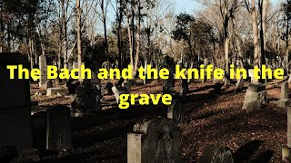 The Story of the Bach and the knife in the grave - Reading Mystical Jewish Chassidic Stories