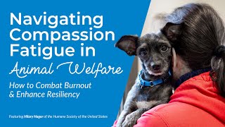 Navigating Compassion Fatigue in Animal Welfare: How to Combat Burnout and Enhance Resiliency