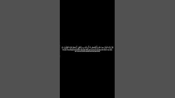سورة الأحقاف للشيخ ياسر الدوسري تلاوة جميلة #video #part9 #quran #from @Thetreatert7