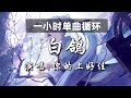 🔷一小时单曲循环🔷【白鸽 - 你的上好佳】『教堂的白鸽不会亲吻乌鸦 就像我配不上星空下的他』|热门歌曲|歌曲排行|抖音歌曲|kkbox|动态歌词Lyrics