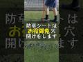 防草シートお役御免あとはクラピアで雑草抑制 #Shorts