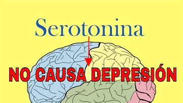 ¿Qué enfermedad mental es la falta de serotonina en el cerebro?