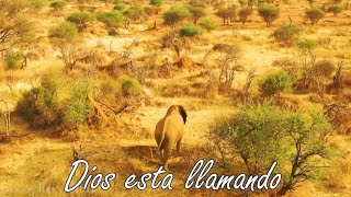 Video thumbnail of "DIOS ESTÁ LLAMANDO-Alabanza"
