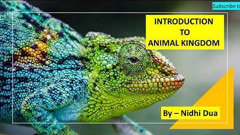 Kingdom Animalia - Basics | Diversity of Life Forms | CSIR NET | GurMantra