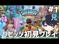 【PS5】 リビッツ！ ビッグ・アドベンチャーを大騒ぎ初見プレイ【兄妹実況】#1