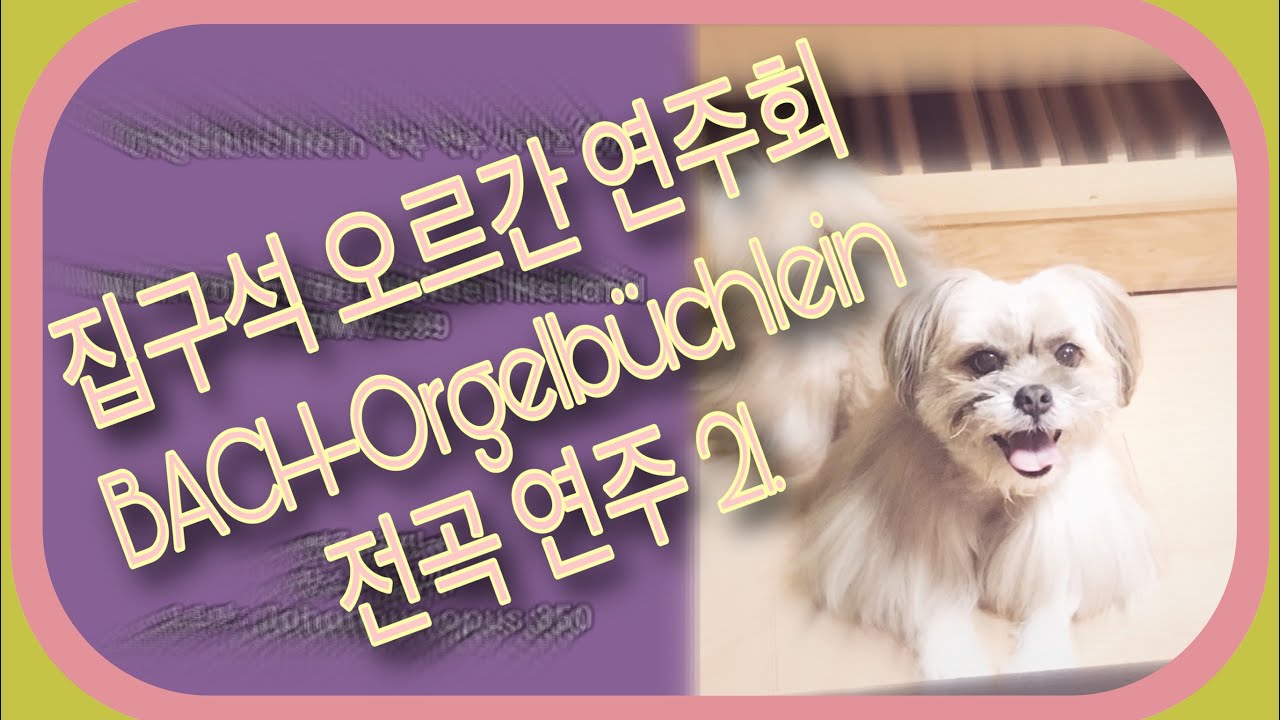 [숏핑거 집구석 오르간] BWV 599 Orgelbüchlein 전곡연주시리즈 21. Nun komm, der Heiden Heiland