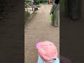 Traveling in Mount of Karang Ciomas #ciomas #gunungkarang #mount #shorts #vlog #rekreasi