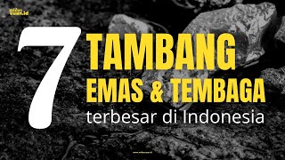 7 Tambang Emas dan Tembaga Terbesar di Indonesia