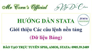 Hướng dẫn STATA | Giới thiệu Các câu lệnh nền tảng (Dữ liệu Bảng) trên STATA 11012024