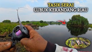 Fishing in the remote Riau swamp for this one snakehead | Shimano slx