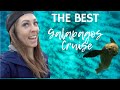 The BEST Galapagos Islands Cruise?