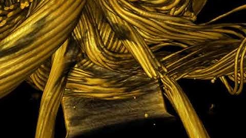 ISTFA 2019 Tools of the Trade: Best Video Winner