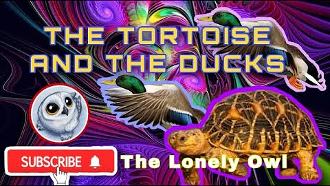 THE TURTLE AND THE DUCKS (STORY FOR KIDS WITH MORAL LESSON)