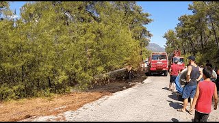 Köyümüzün Girişinde Orman Yangını Çıktı Sitem Dolu Bir Video