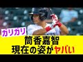 筒香嘉智のMLB最新姿、あまりにも悲惨すぎる・・・【なんj反応】