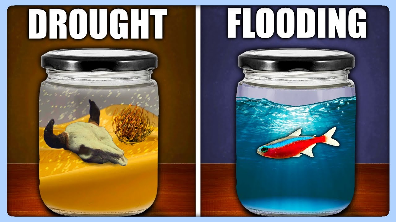 Simulating NATURAL DISASTERS in Terrarium ecosystems!