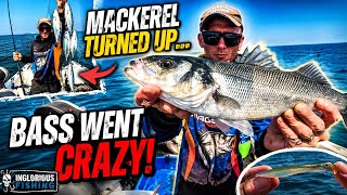 The Mackerel Turned Up… Then The Bass Fishing Went Crazy! | UK Sea Fishing