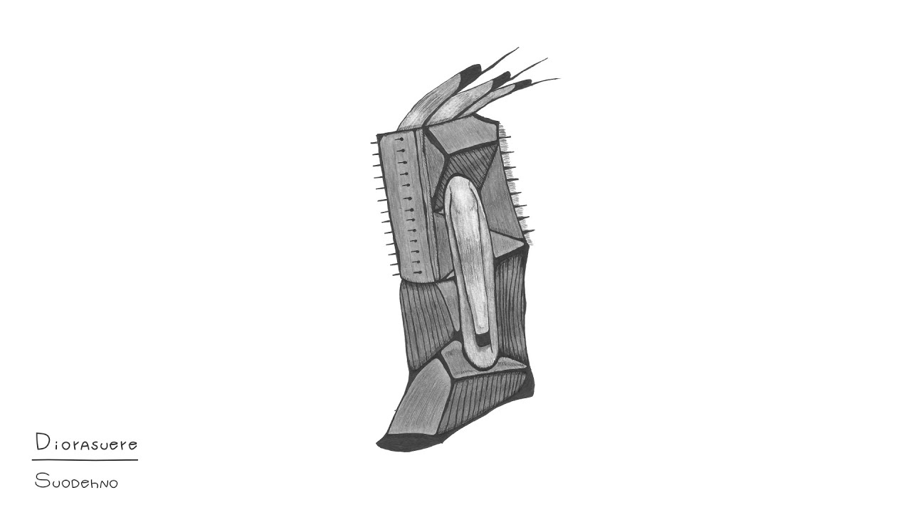 Diodesuez - Suodehno (Glitch Hop)