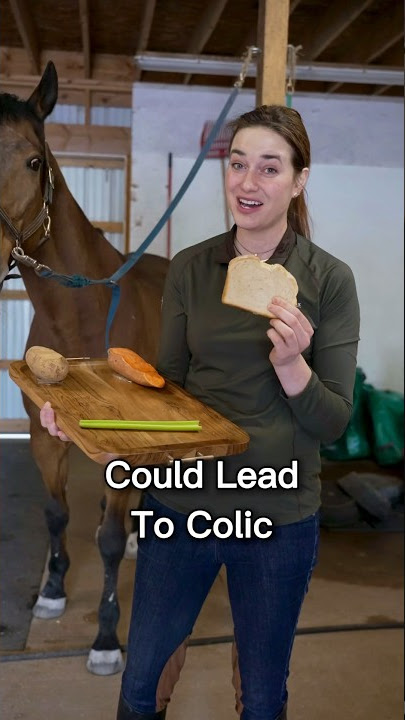 Can A Horse Eat? 🤔