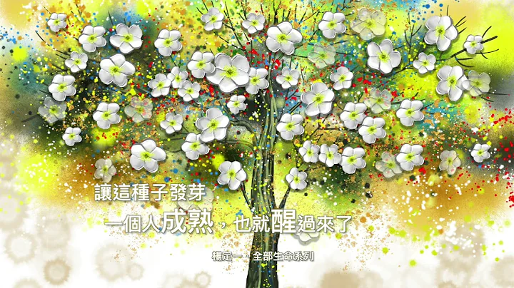 杨定一：让这种子发芽，一个人成熟，也就醒过来了 - 天天要闻