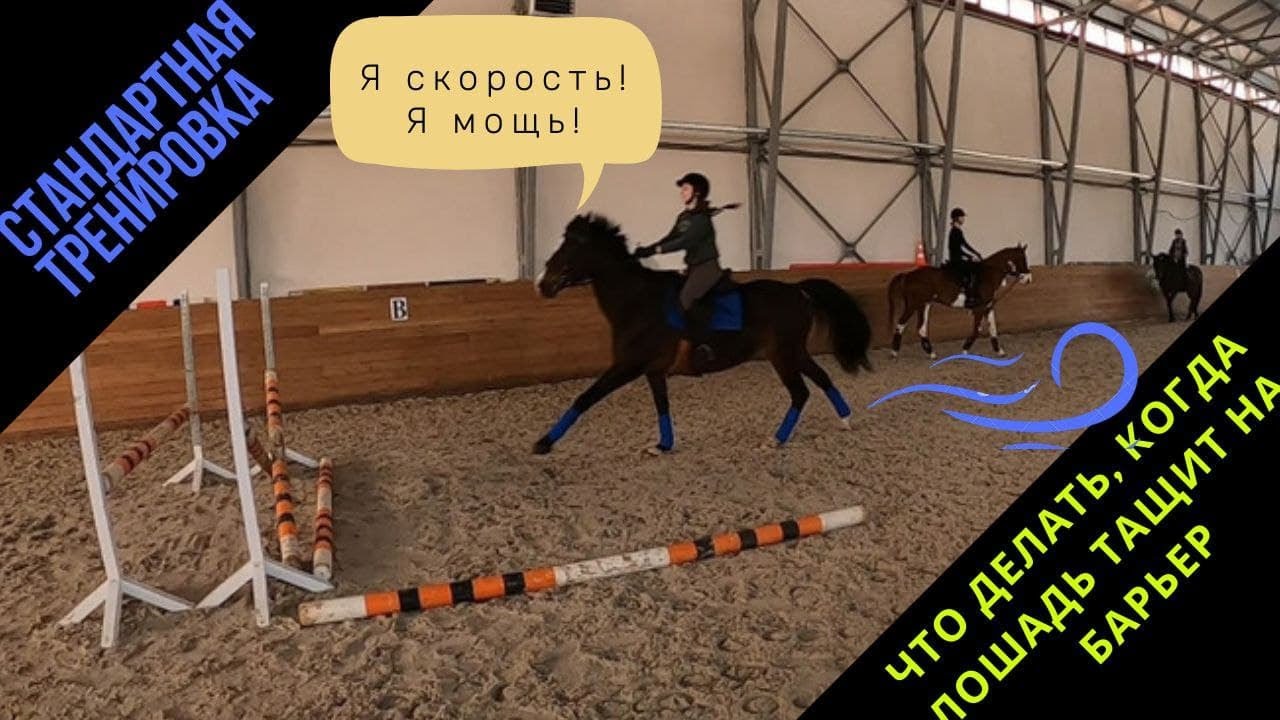 Лошадь тащит машину
