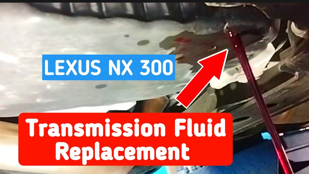 Exciting Lexus Transmission Fluid Change Cost Photos