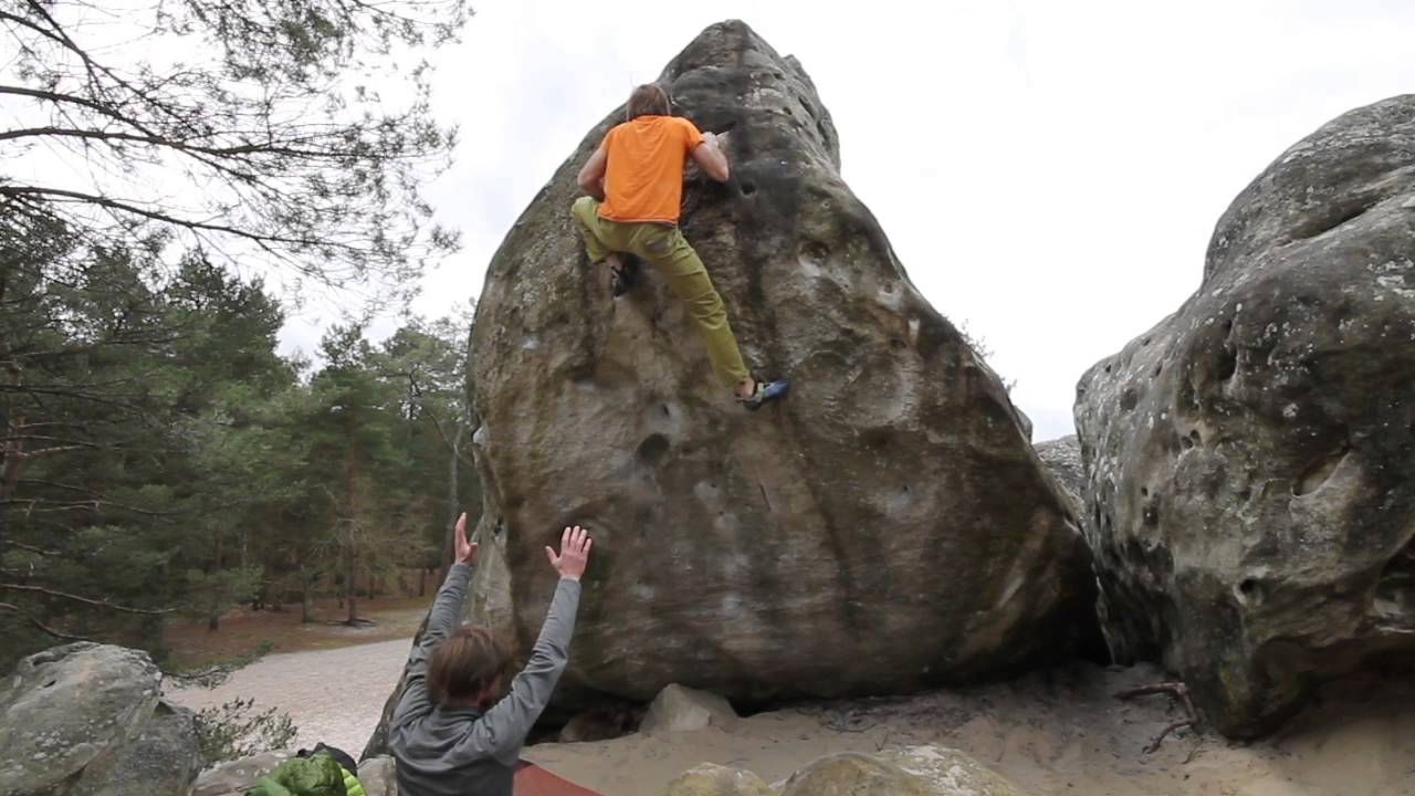 Some Classics of Fontainebleau