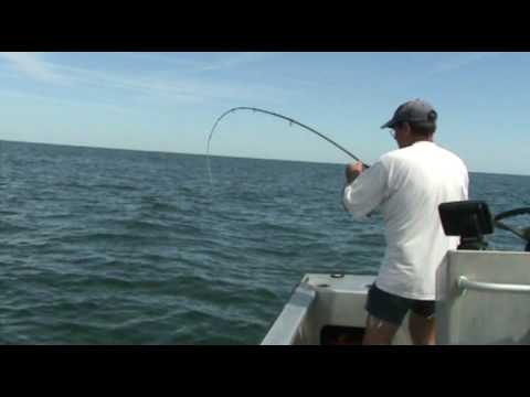 youtube videos peche en mer youtube videos peche en mer